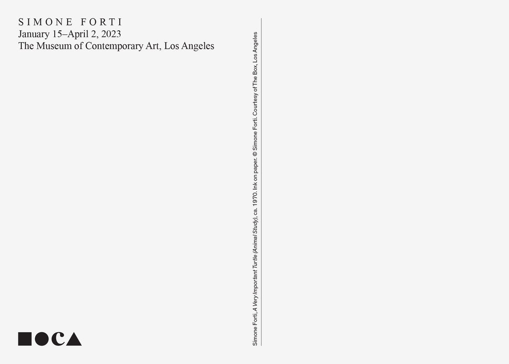 Simone Forti: Postcard (Turtle)
