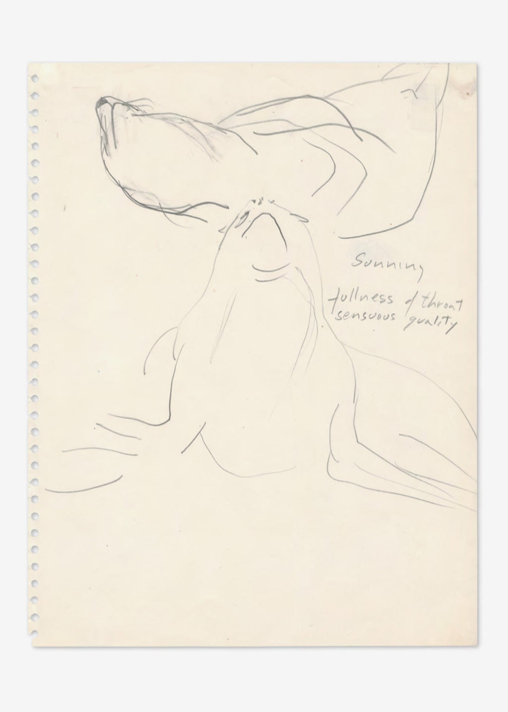 Simone Forti: Postcard (Sea Lions)