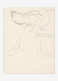 Simone Forti: Postcard (Sea Lions)