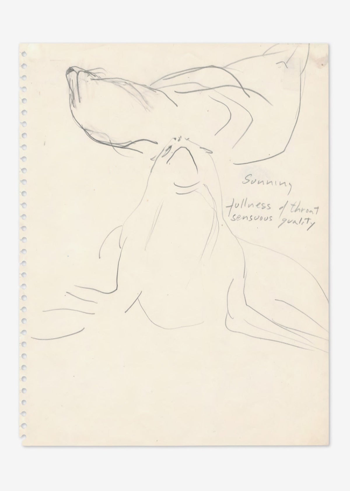 Simone Forti: Postcard (Sea Lions)